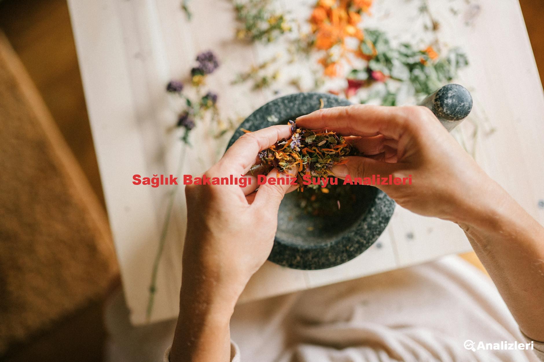 Sağlık Bakanlığı Deniz Suyu Analizleri
