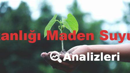 Sağlık Bakanlığı Maden Suyu Analizleri