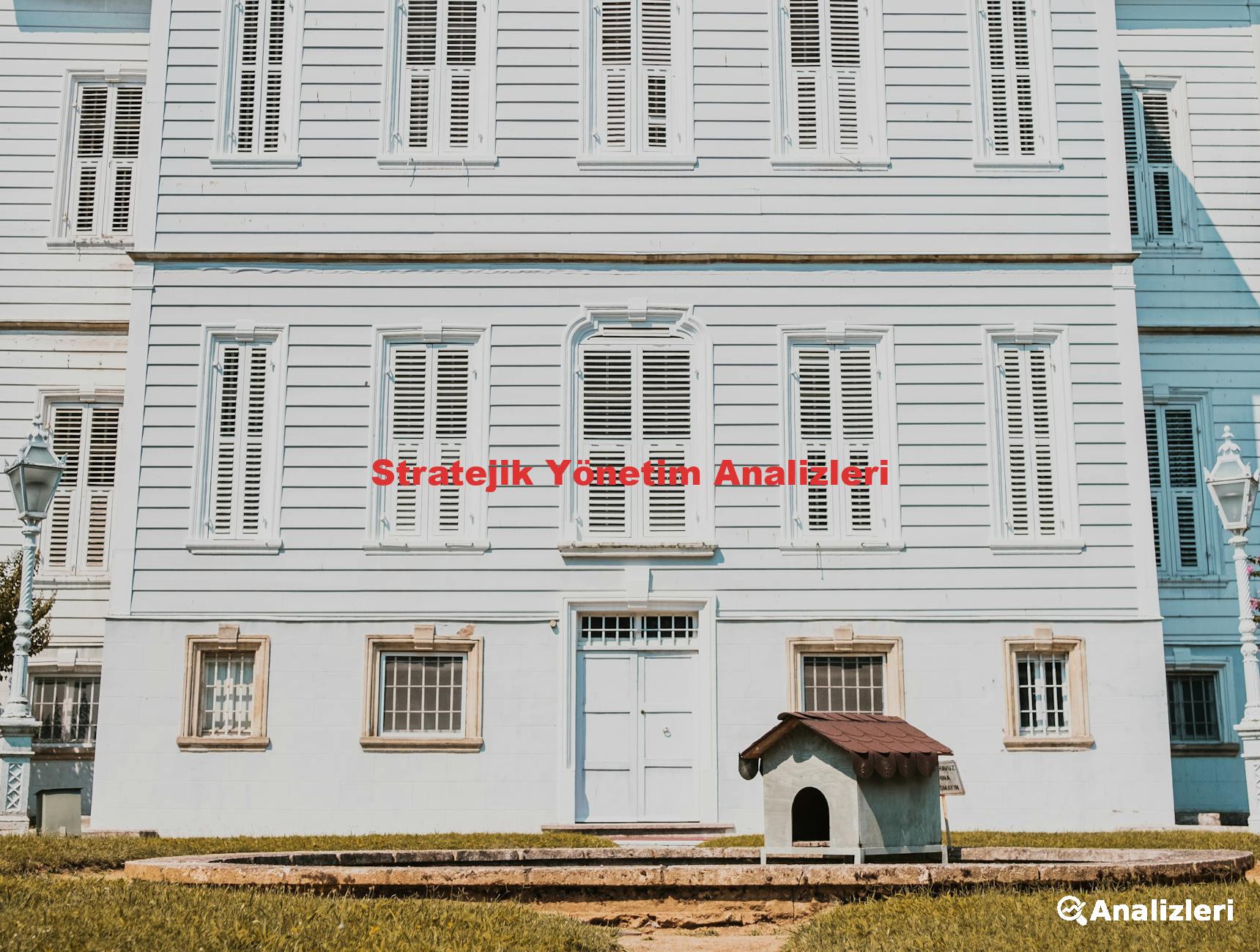 Stratejik Yönetim Analizleri
