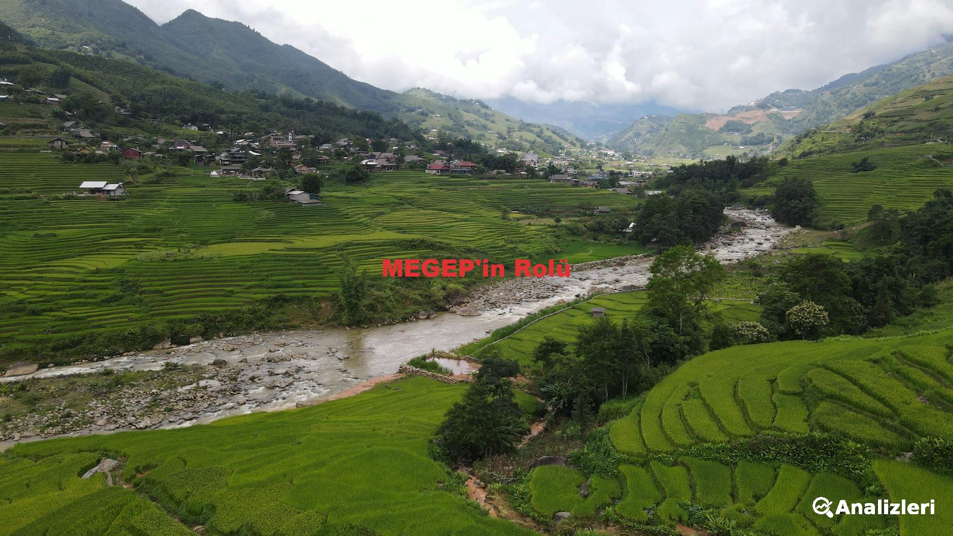 MEGEP'in Rolü