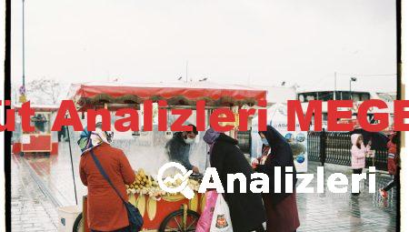 Süt Analizleri MEGEP