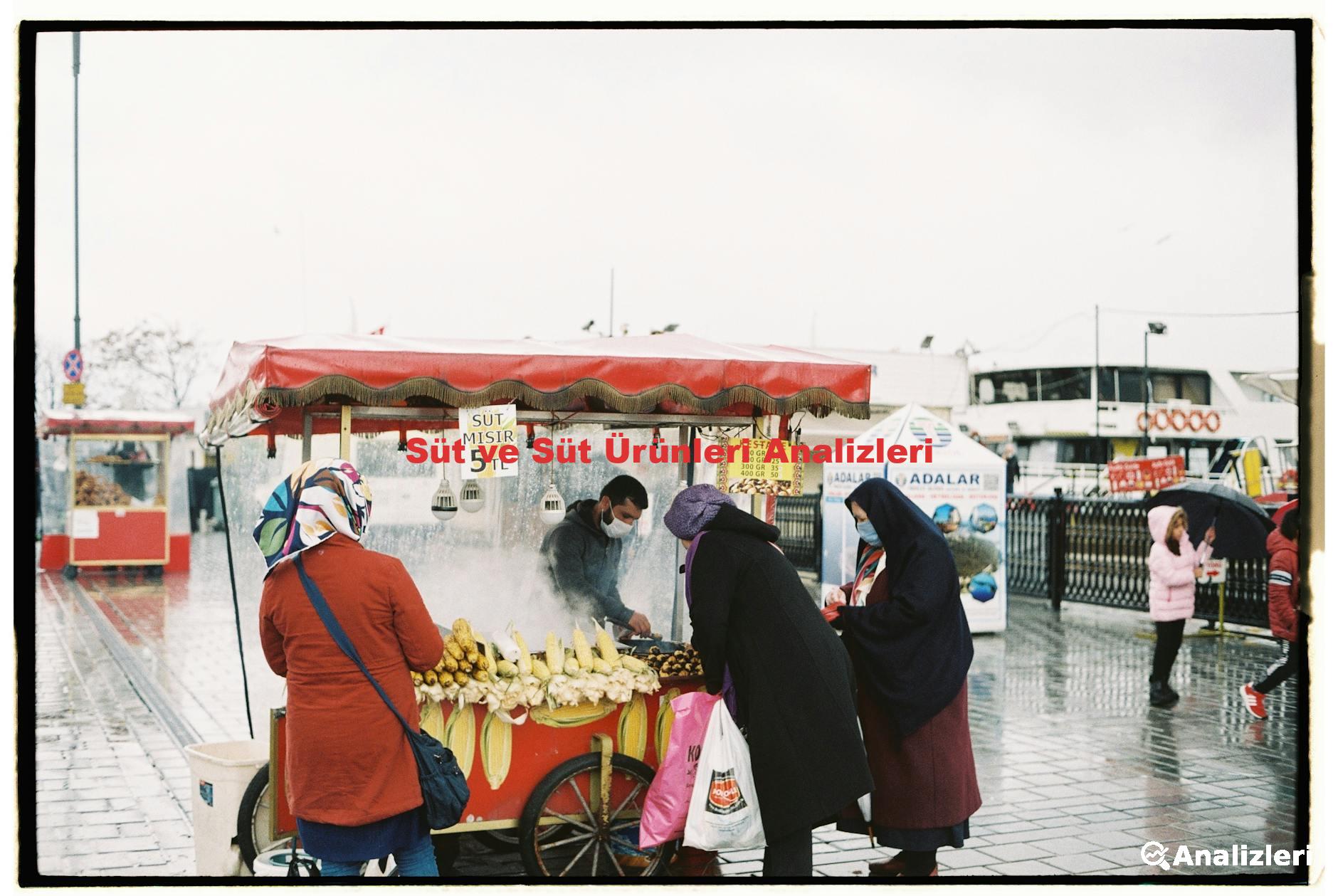 Süt ve Süt Ürünleri Analizleri