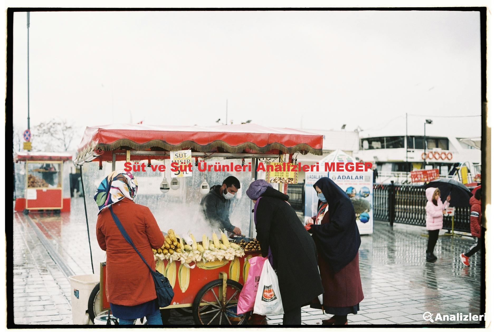 Süt ve Süt Ürünleri Analizleri MEGEP