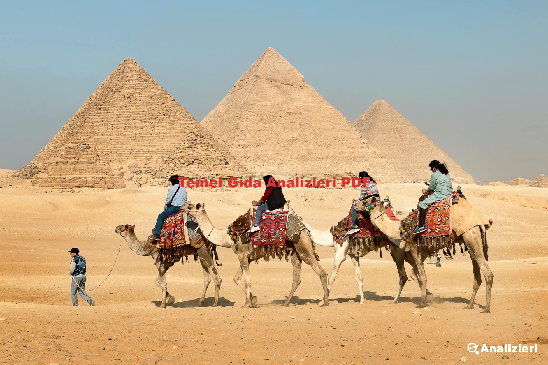 Temel Gıda Analizleri PDF