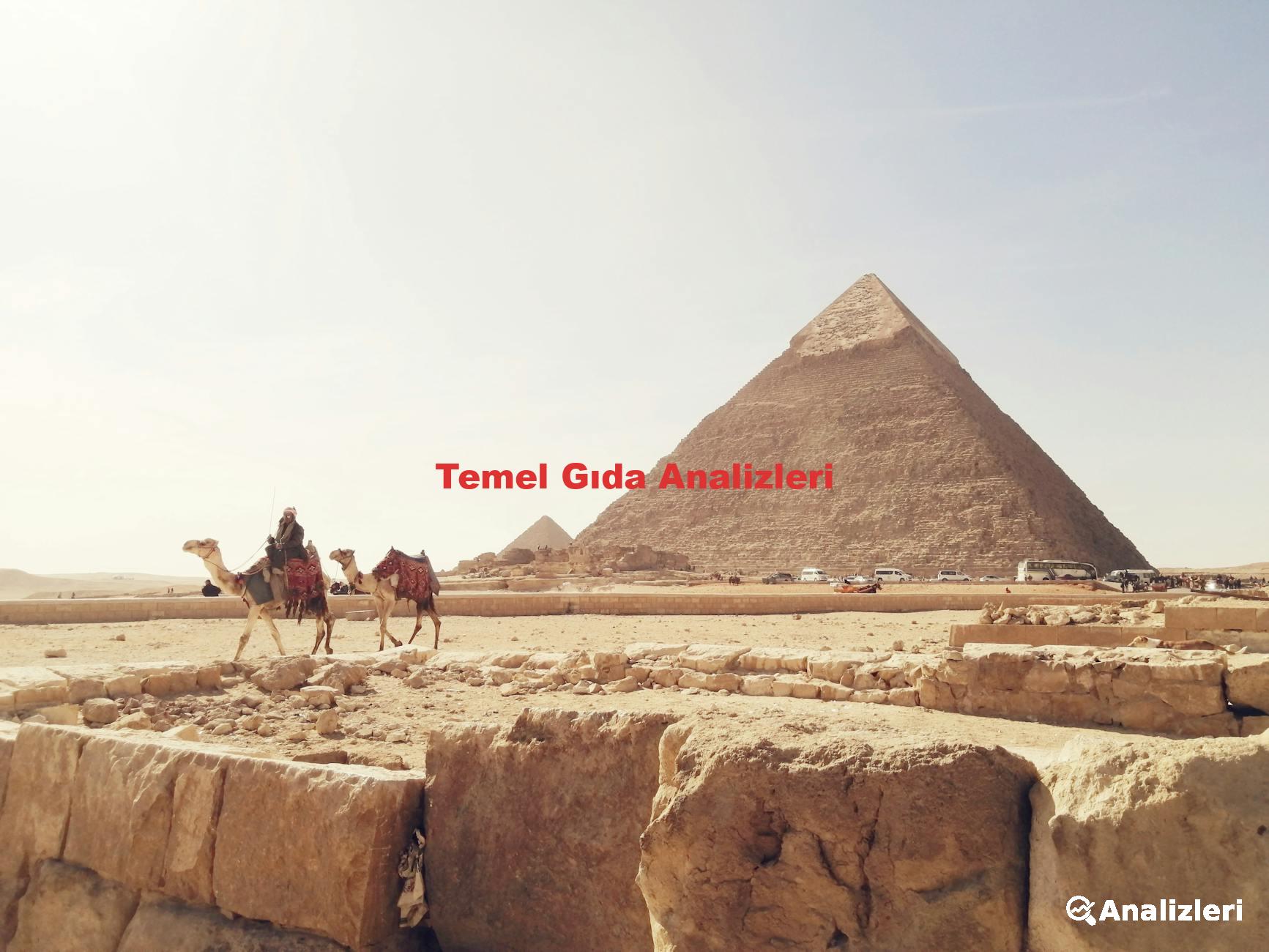 Temel Gıda Analizleri