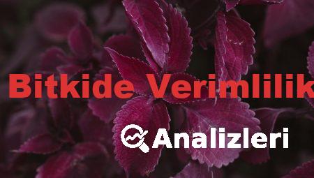 Toprak ve Bitkide Verimlilik Analizleri