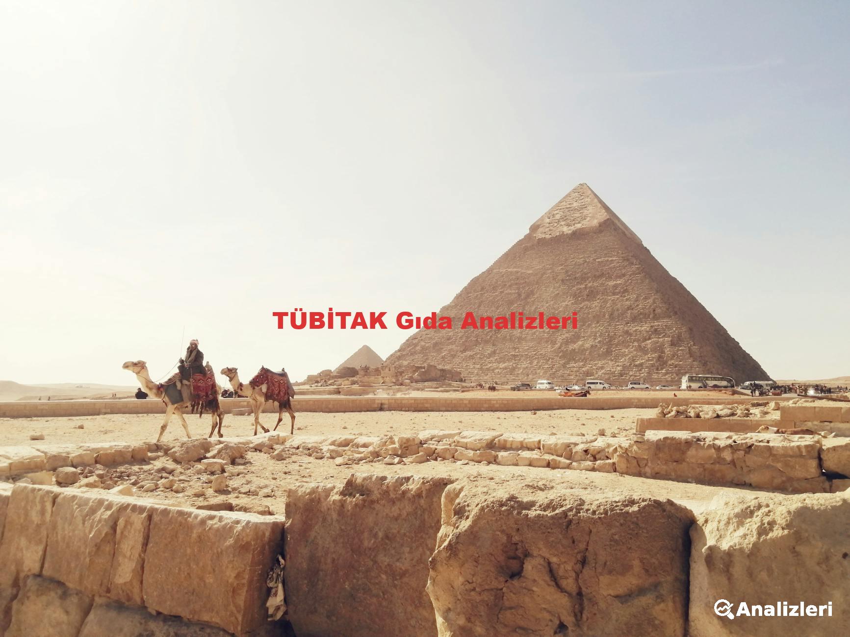TÜBİTAK Gıda Analizleri