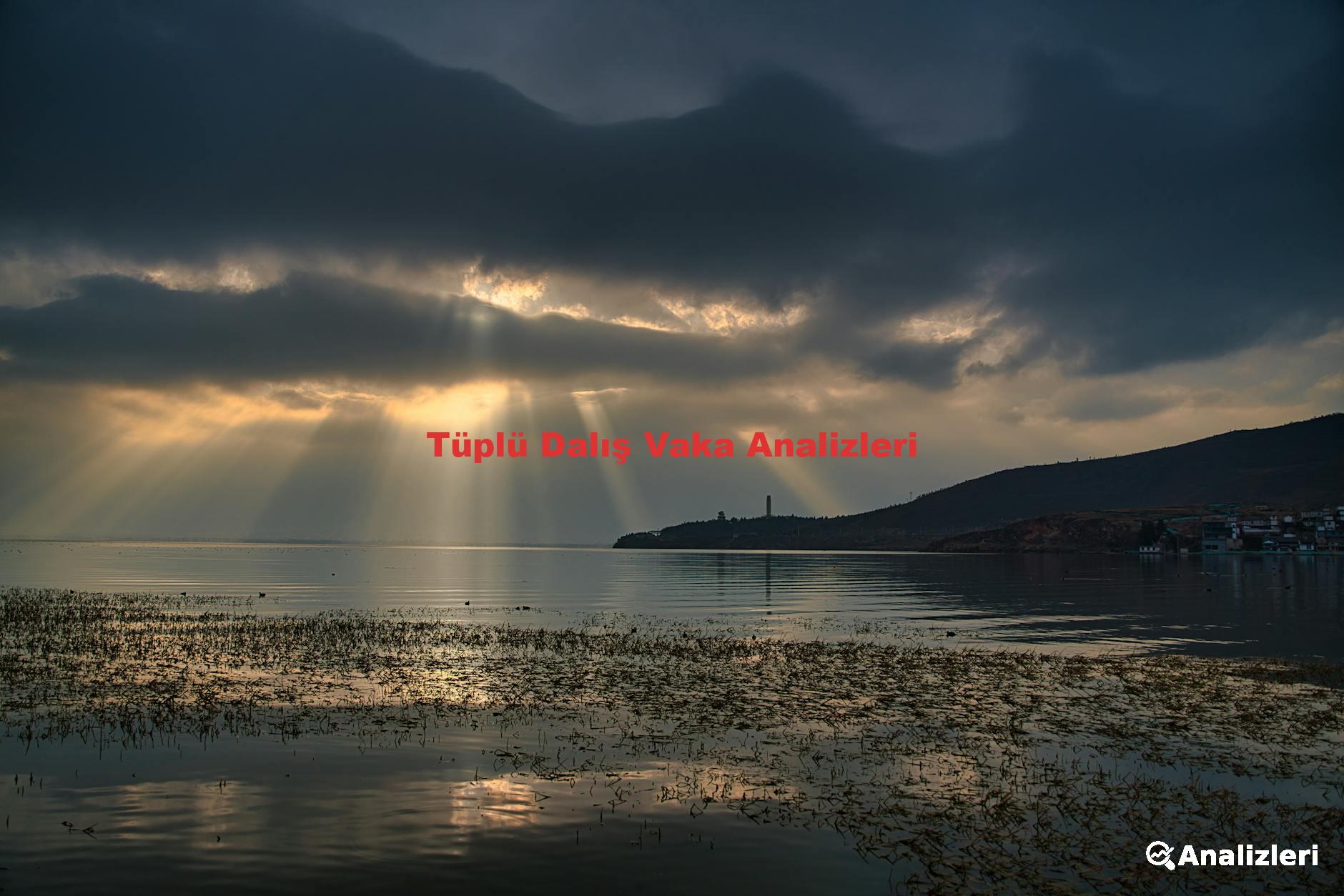 Tüplü Dalış Vaka Analizleri