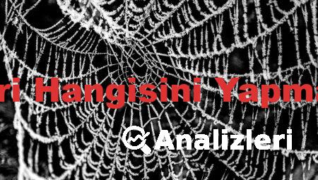Web Site Analizleri Hangisini Yapmanıza İmkan Tanır