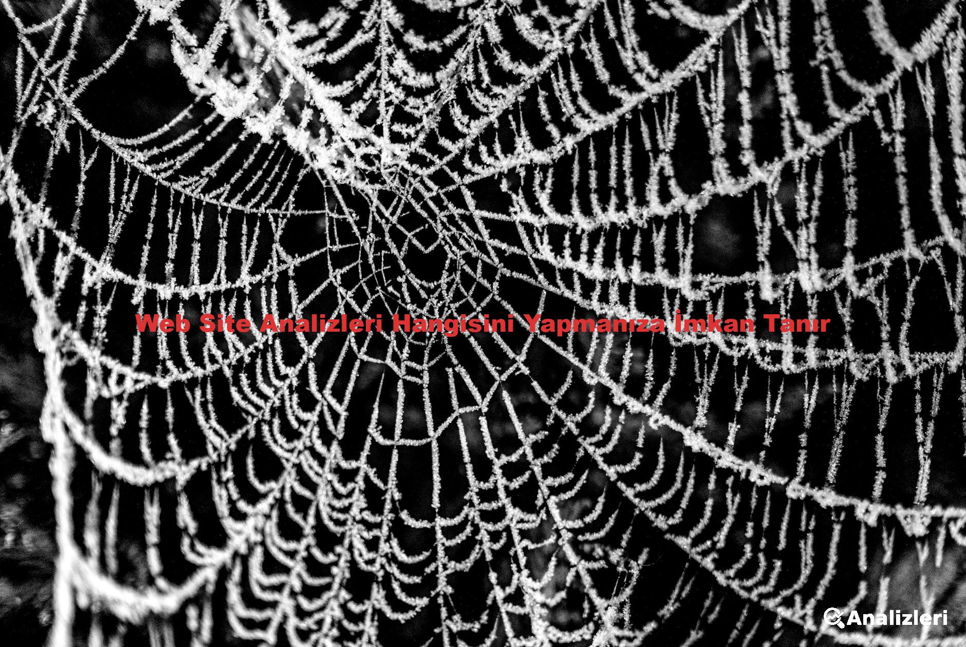 Web Site Analizleri Hangisini Yapmanıza İmkan Tanır