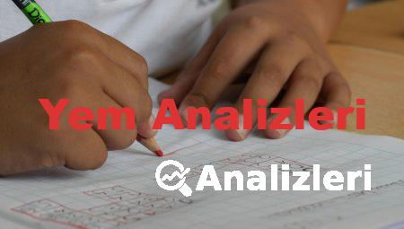 Yem Analizleri