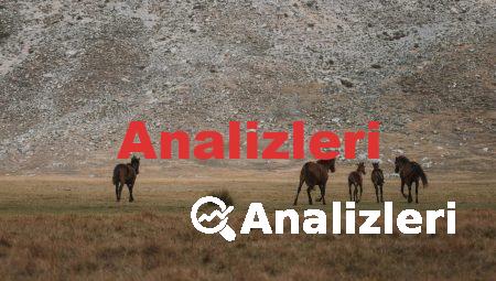 Sigarayı Bırakmak İçin En İyi Uygulamalar