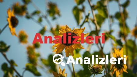 Instagram’da Hızla Takipçi Arttırmanın Taktikleri