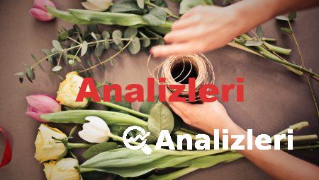 Aksaray Çiçekçilerinde Bulabileceğiniz Nadir Çiçekler