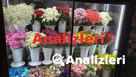 Çiçek Gönderiminde Güvenli Adres: Floksia